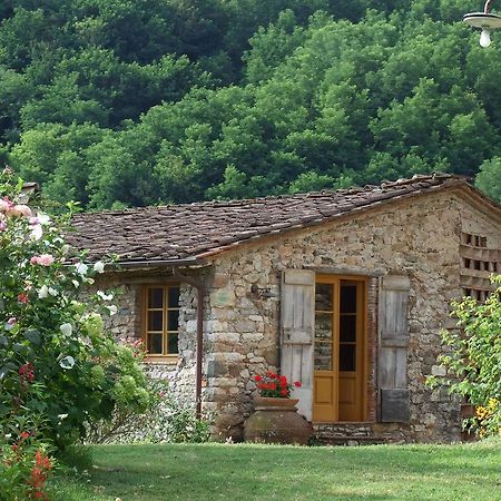 Villa Bottino By Salogi Villas San Martino in Freddana 외부 사진