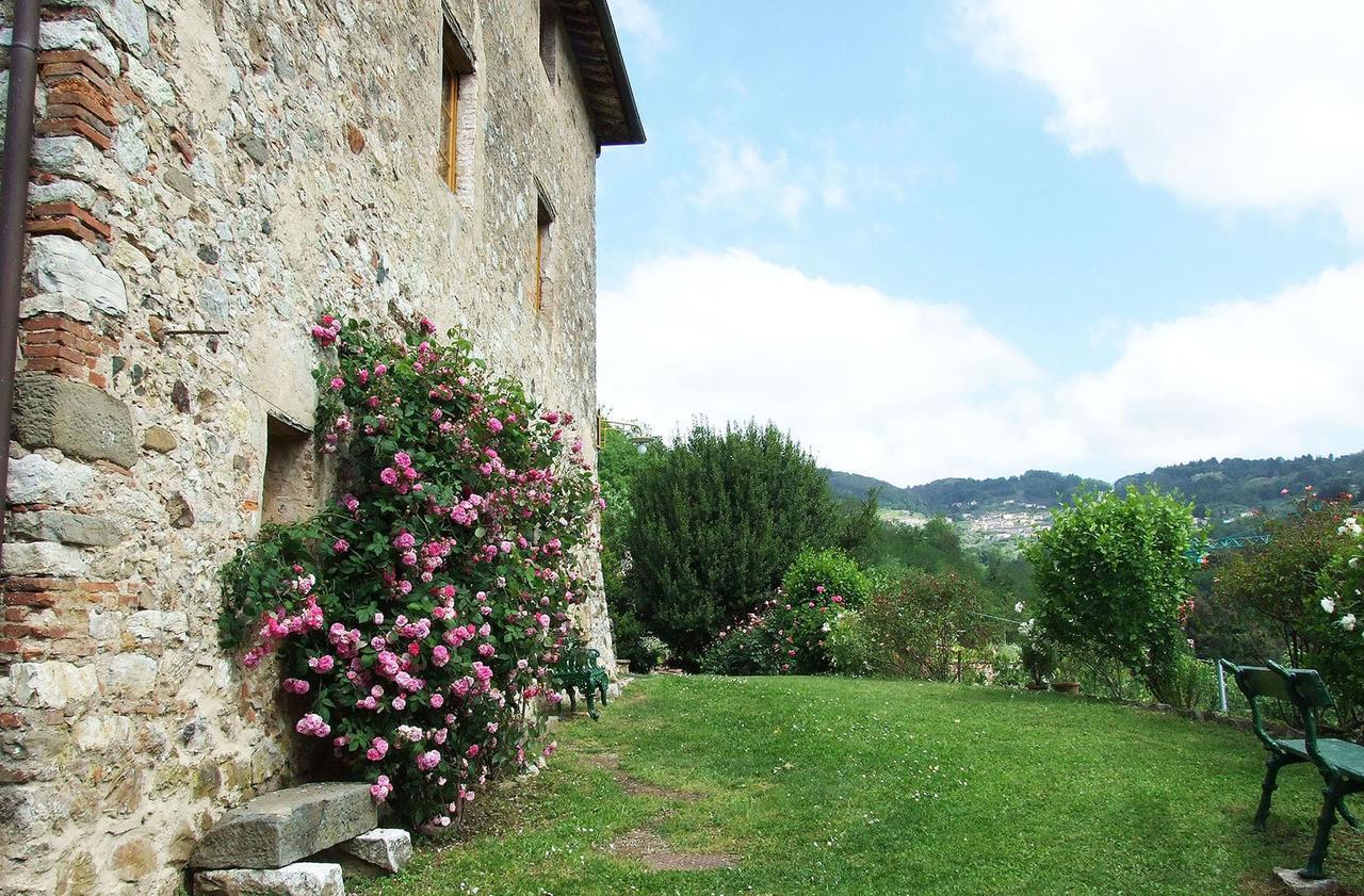 Villa Bottino By Salogi Villas San Martino in Freddana 외부 사진